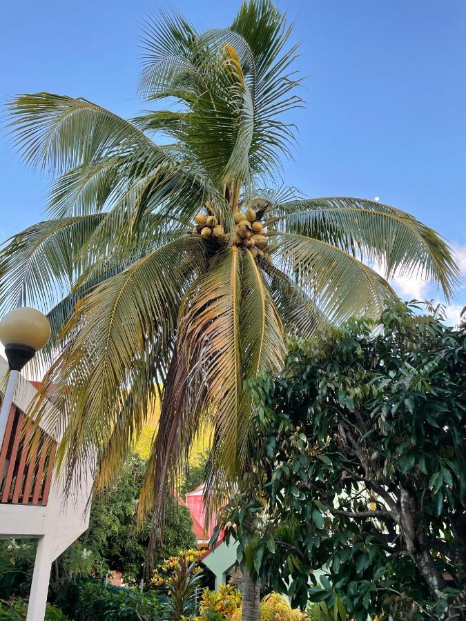Residence Sucrerie Motel - Les Anses-D'Arlets - Martinique Εξωτερικό φωτογραφία