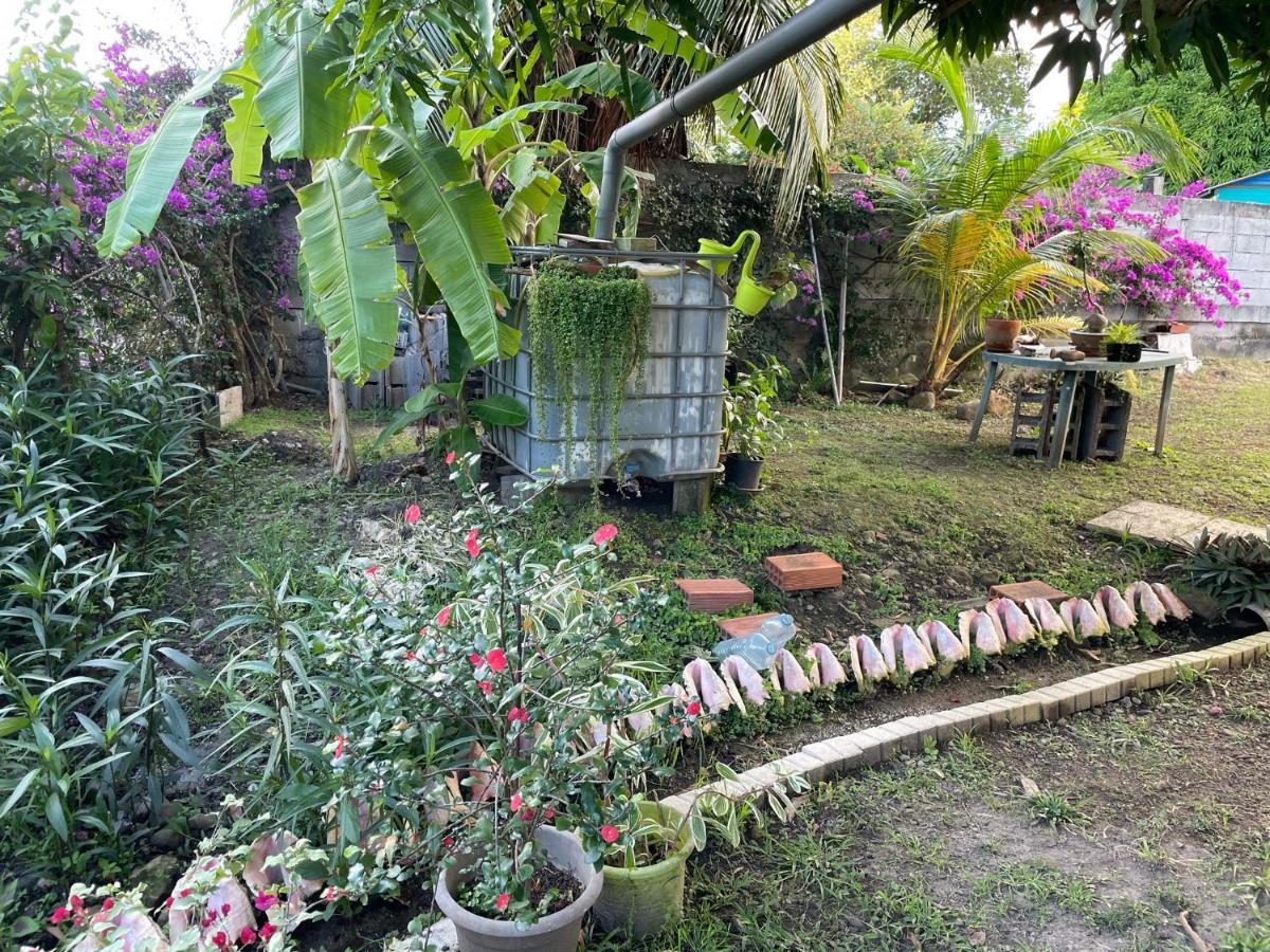 Residence Sucrerie Motel - Les Anses-D'Arlets - Martinique Εξωτερικό φωτογραφία