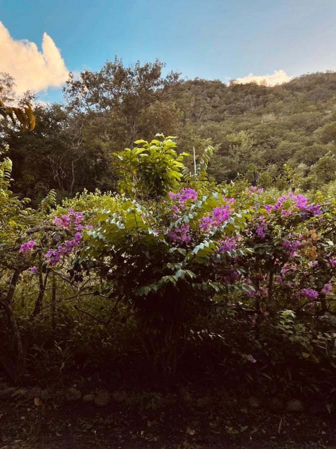 Residence Sucrerie Motel - Les Anses-D'Arlets - Martinique Εξωτερικό φωτογραφία