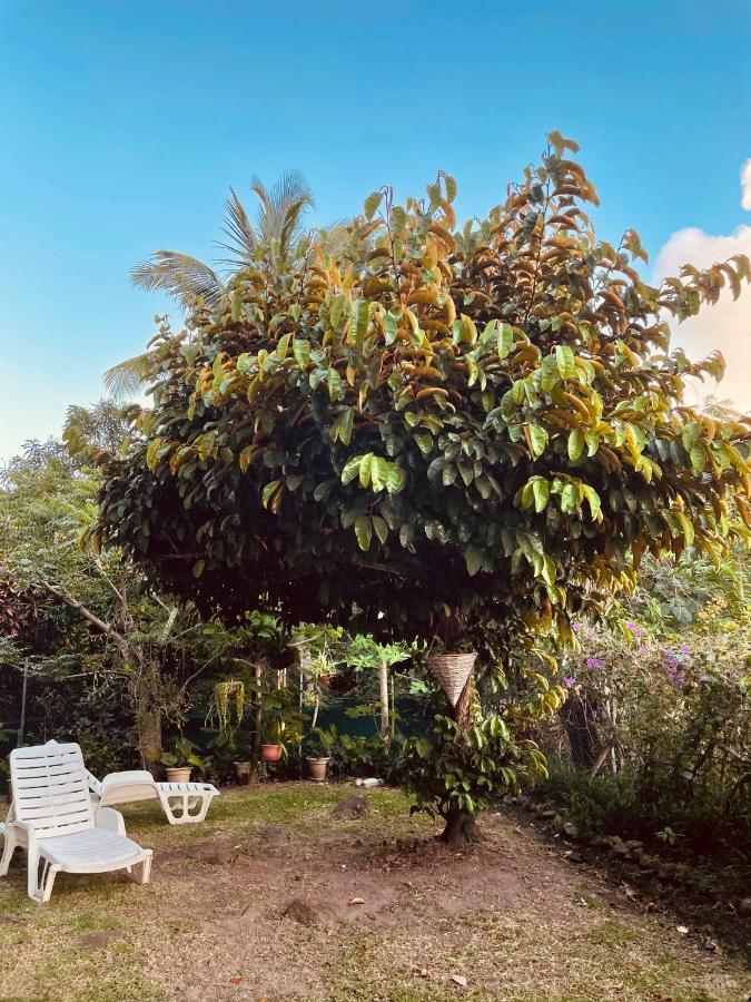 Residence Sucrerie Motel - Les Anses-D'Arlets - Martinique Εξωτερικό φωτογραφία